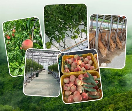 ประกาศ บริการ งานสวนประเทศออสเตรเลีย งานประเทศอิสราเอล งานประเทศเกาหลีใต้ ไม่หลอกลวงทำงานต่างประเทศถูกกฎหมาย รับจัดหางาน