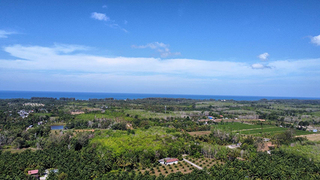 ขาย ที่ดิน เหมาะทำบ้านพักตากอากาศ ใกล้สนามบินภูเก็ตใกล้ทะเล ซื้อที่ดินโคกกลอยเจ้าของขายเอง ขายที่ดินใกล้หาดนาใต้ไม่เกินล้าน ที่ดินเปล่าโคกกลอยโฉนดพร้อมโอน