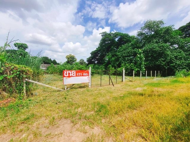 ที่ดิน ขาย ยินดีรับนายหน้า ใกล้ทั้งเมืองสนามบินและศูนย์การค้า เหมาะสร้างบ้านเช่าทำออฟฟิศ เหมาะสร้างบ้านอพาร์ตเมนต์หอพัก บ้านป่าพร้าวนอกซอย6วงแหวนรอบ1