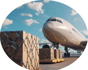 บริการ ประกาศ ผ่านศุลกากรเร็วขึ้น DHL,FedEx,UPS เคลียร์สินค้านำเข้า สินค้าทางอากาศ ชิปปิ้งมืออาชีพ